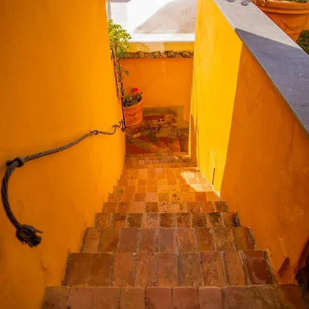 La Pistrice With Seaview And Enclosed Garden Positano